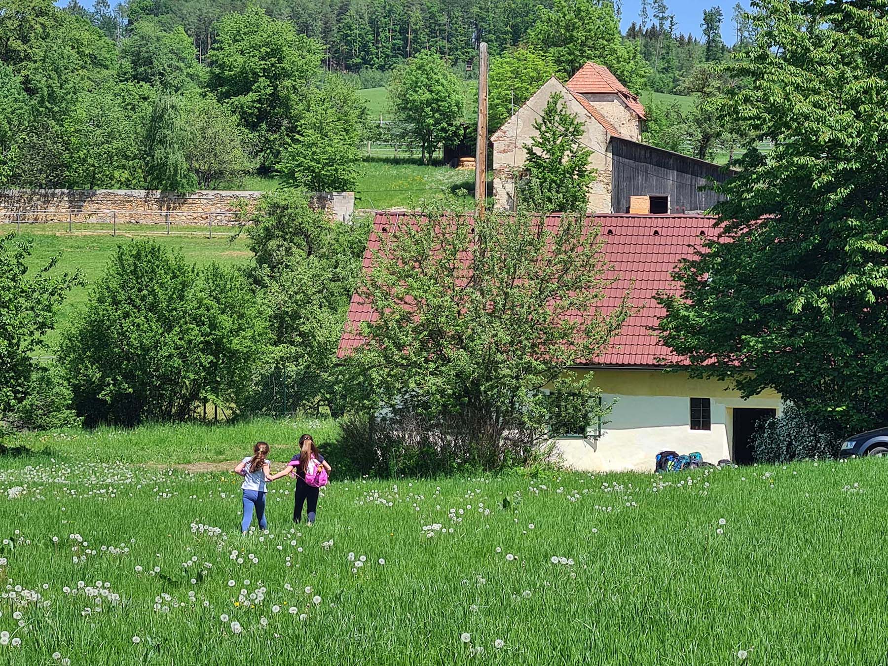 Fokulissimo Nr. 16 – Sommer 2023